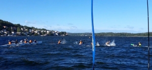 /Gallery/2020/09/oarna_runt-300x138.jpg